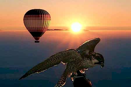 Dubai Balon Turu