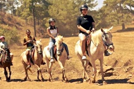 Marmaris At Safari