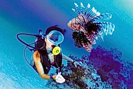 Alanya Dalış Turu