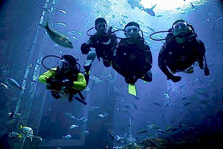 Kemer Dalış Turu