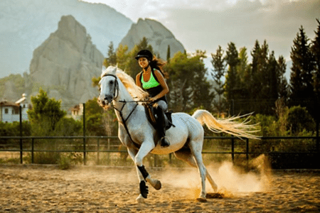 Bodrum At Safari