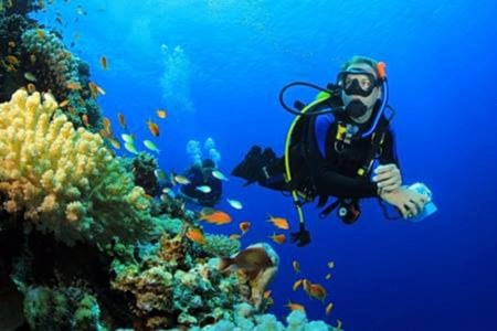 Kalkan Dalış Turu